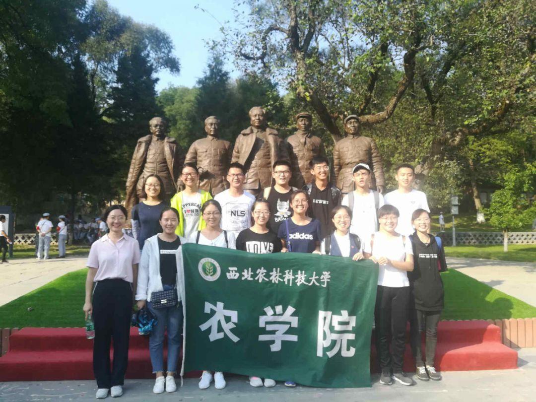 逗小猴开心系列198